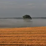 Przy Brzozowej Polanie Guest house