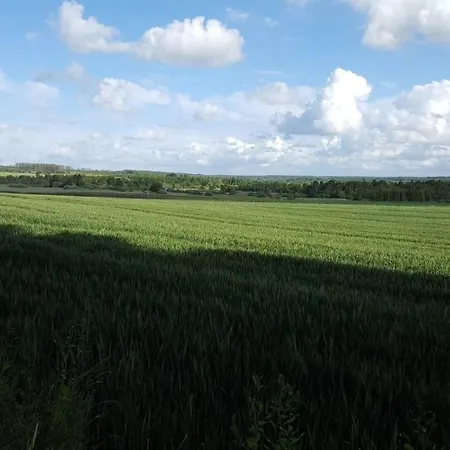 Przy Brzozowej Polanie Perlino