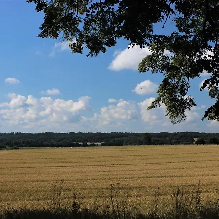 Maison d'hôtes Przy Brzozowej Polanie 3*