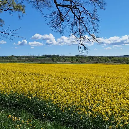 Przy Brzozowej Polanie Maison d'hôtes Perlino