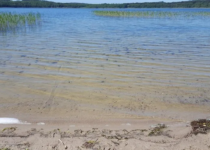 Przy Brzozowej Polanie Penzion 3*