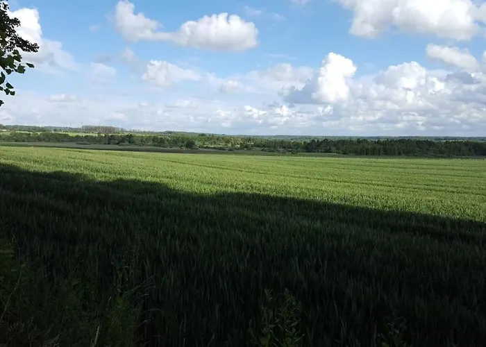 Przy Brzozowej Polanie Perlino