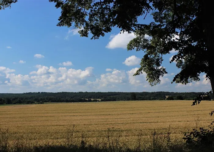 Penzion Przy Brzozowej Polanie 3*