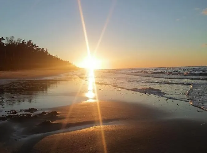 Przy Brzozowej Polanie