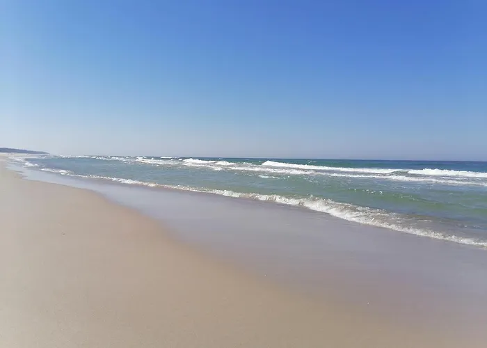 Przy Brzozowej Polanie Perlino