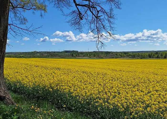 Przy Brzozowej Polanie Penzion Perlino